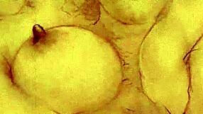 Hej, si kdaj videl tako divjo vintage erotično ilustracijo?