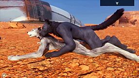 Alpha Wolf Devours Sexy She-Wolf in Wild Life Scene