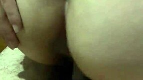 pussy cream pie drips after amateur banging