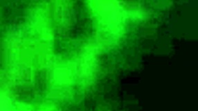 Big booty black girl getting fucked