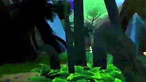 What Futanari Girls Do On Desert Island?