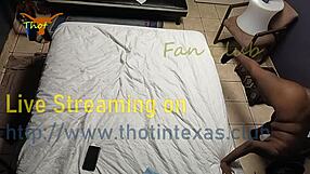 Ebony milf with hairy wet pussy in texas?