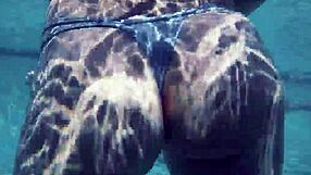 Outdoor Pool Party Orgy With Handjobs