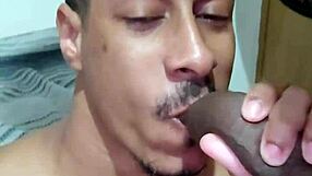 Gay amateur sucks big black cock and swallows