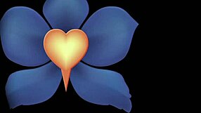 why is the massage room dripping wet after sensual foreplay