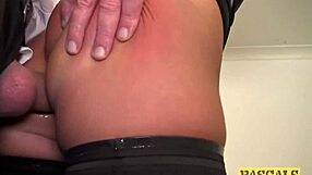 pascalssubsluts uk milf sasha steele gets her ass fucked hard in domination bondage