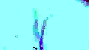 Indonesian Maid Squirts