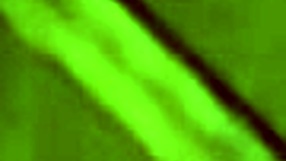 amateur milf gives suggestive blowjob at home