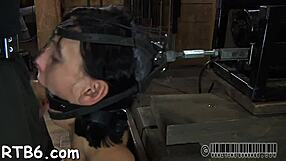 The gal gets collared and spreads her legs for rough fucking