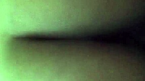 Prostitute fucked in trim video