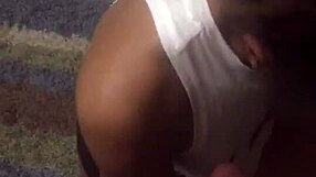 excellent performance in a challenging task