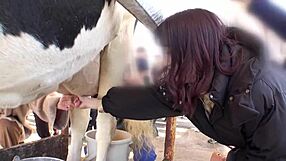 Full version https bit ly 3svuj8y