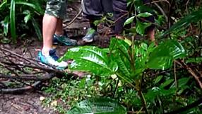 guys partying in the forest together