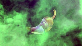 Brazilian Brunette Bets Neighbor Her Ass Cums, He Loses And Gets Cumshot In Hotel