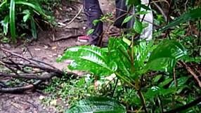 guys partying in the forest together