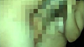 la potra aleja gets ready for valentine's day celebration