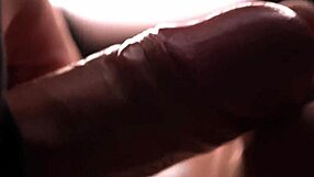 she caressed my bridle and balls with her tongue for which she received a creampie