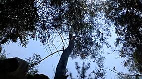 suck that mexican cock and fuck my ass in public?