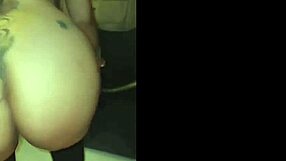 la potra aleja gets ready for valentine's day celebration