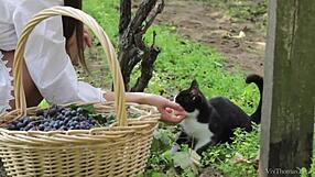 Vivthomas Vine Hannah Sweet Subil Arch Licks Pussy With Intense Cunilingus