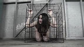 Caged Gabriella Paltrova Delivers a Sloppy BBC Blowjob with Wild Spit