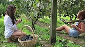 Vivthomas Vine Hannah Sweet Subil Arch Licks Pussy With Intense Cunilingus