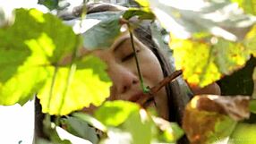 Vivthomas Vine Hannah Sweet Subil Arch Licks Pussy With Intense Cunilingus