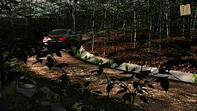 Pine Falls 90 Anime Hentai Adventure