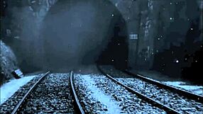 Vintage erotic art collection