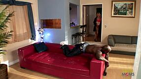 two adorable lesbians getting wild with big black cock 😍