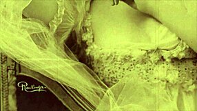 סצנות אנימציה ארוטית וינטג'