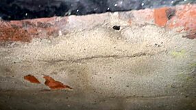 Cracky and the TV Reality Show with Mature Amateurs