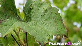 Beautiful small tits Asian MILF Katana posing in vineyard!