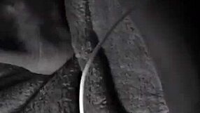 latina slut roxxana sucks two dildos in doggy fucking