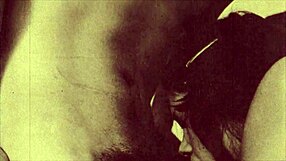 My Secret Life Vintage Taboo Series Uncovers Hidden Stories!