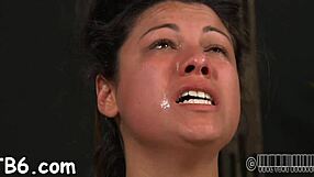 BONDAGE PORN CONTEST WITH WET PUSSIES AND HARD FUCKING