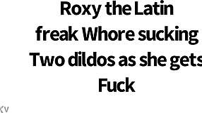 latina slut roxxana sucks two dildos in doggy fucking