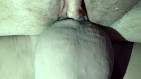 Amateur milf begs for patience during anal fucking and cum.