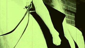 Specific Erotic Confessions Of Victorian English Gentleman From Secret Life.