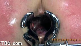 lusty collaring for lovely playgirl with blowjob and rough fucking