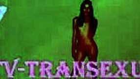 Imposing Shemale Fucks In Hotel