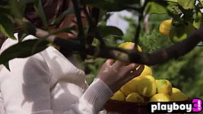 is hayli sanders' big ass posing naked or what?