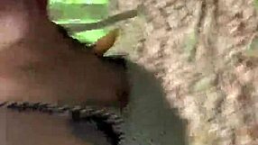 We Got Caught Fucking In The Park As I Came In Her Espanol