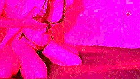 Lazycatdoll Tries New Underwear For Small Waist Fingering In Jeans