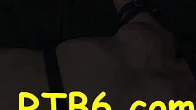 lusty collaring for lovely playgirl with blowjob and rough fucking