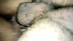 Girl bent over for big cock fuck in bathroom