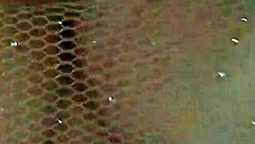 Provoquei o Uber e Deixei Ele Brincar com Minha Bucetinha