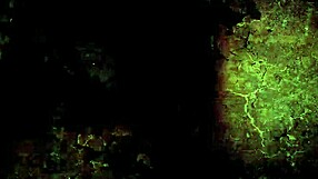 vintage erotic drawings inspire retro fantasies in classic style