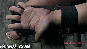 Are these caged babes coerced into giving nasty blowjobs and hardcore sex to each other?