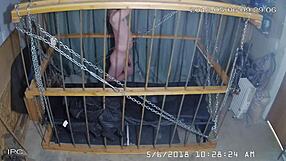 The cagecam offers a non-edited, downloaded feed directly from the cage for viewing